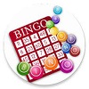 How To Play Online Bingo Guide for Canadians