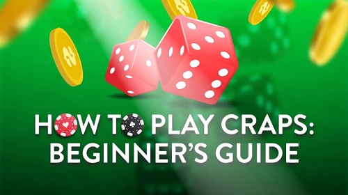 Beginners Guide to Playing Craps Best Online Craps Casinos